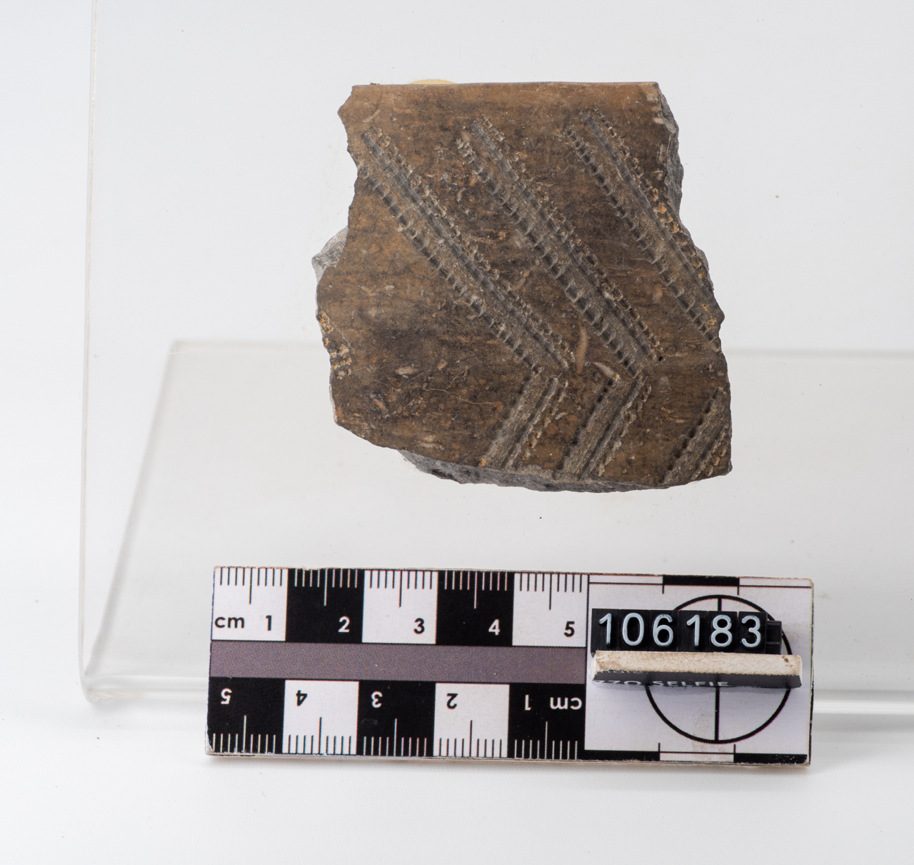 ciotola/ parete (PERIODIZZAZIONI/ PREISTORIA/ Neolitico)