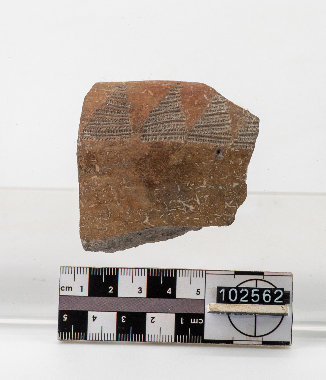 olla/ parete (PERIODIZZAZIONI/ PREISTORIA/ Neolitico)