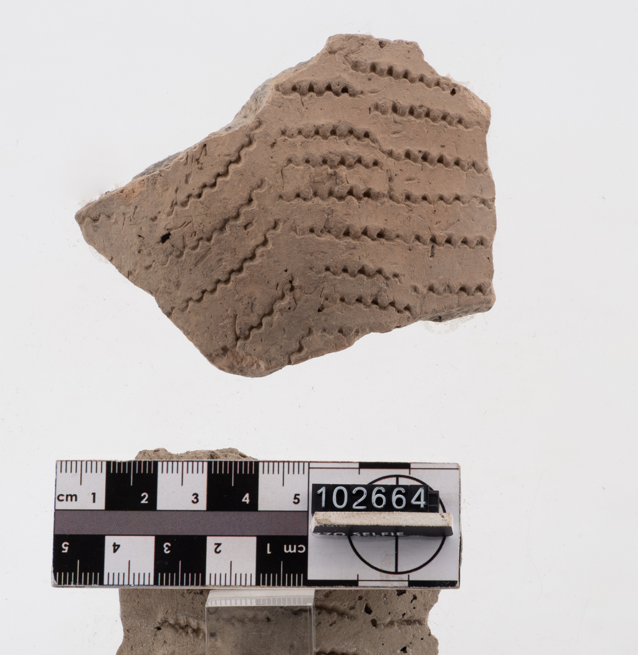 olla/ parete (PERIODIZZAZIONI/ PREISTORIA/ Neolitico)