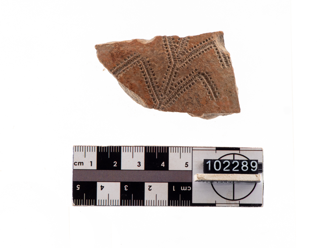 olla/ parete (PERIODIZZAZIONI/ PREISTORIA/ Neolitico)