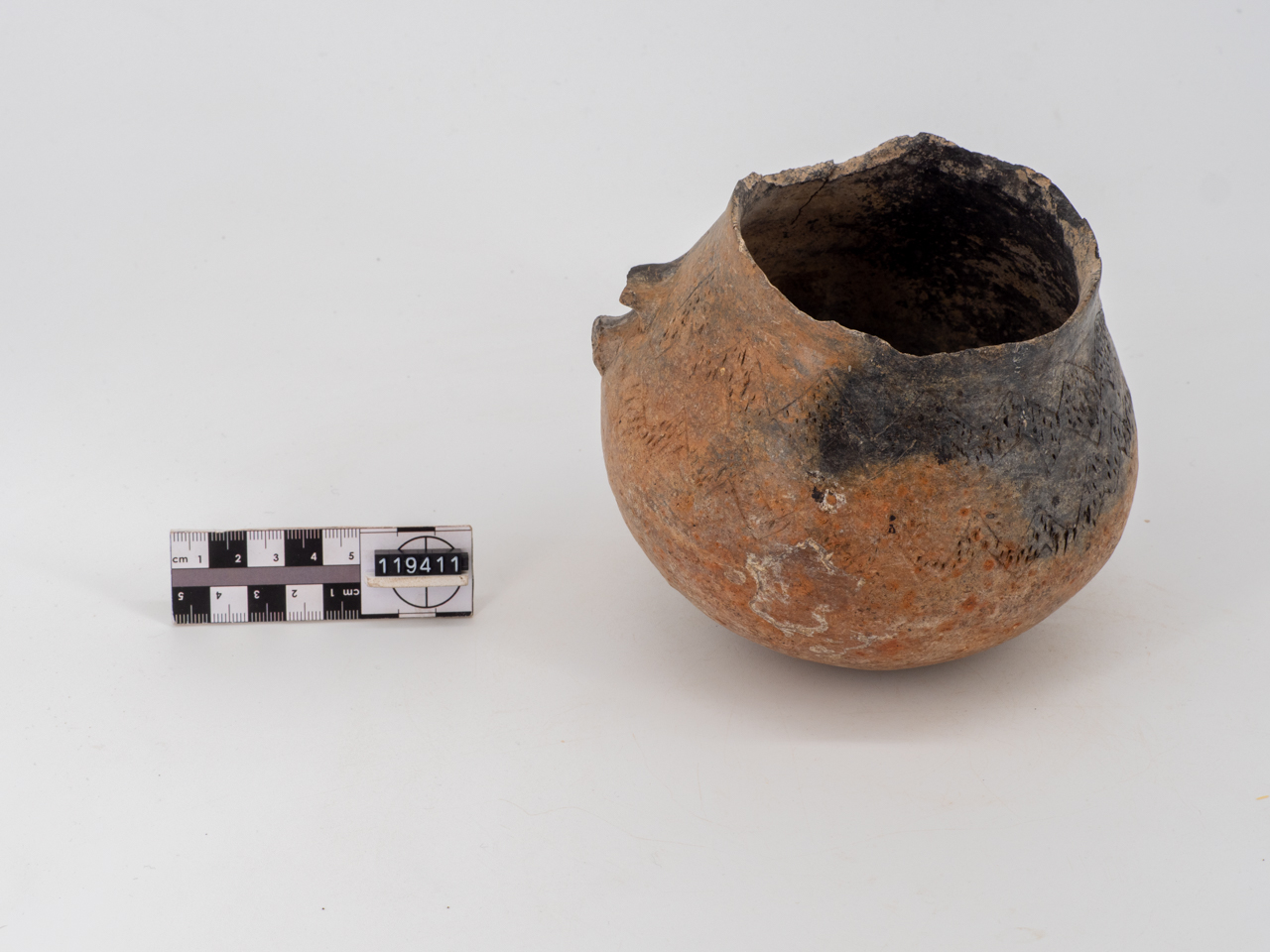 olla (PERIODIZZAZIONI/ PREISTORIA/ Neolitico)