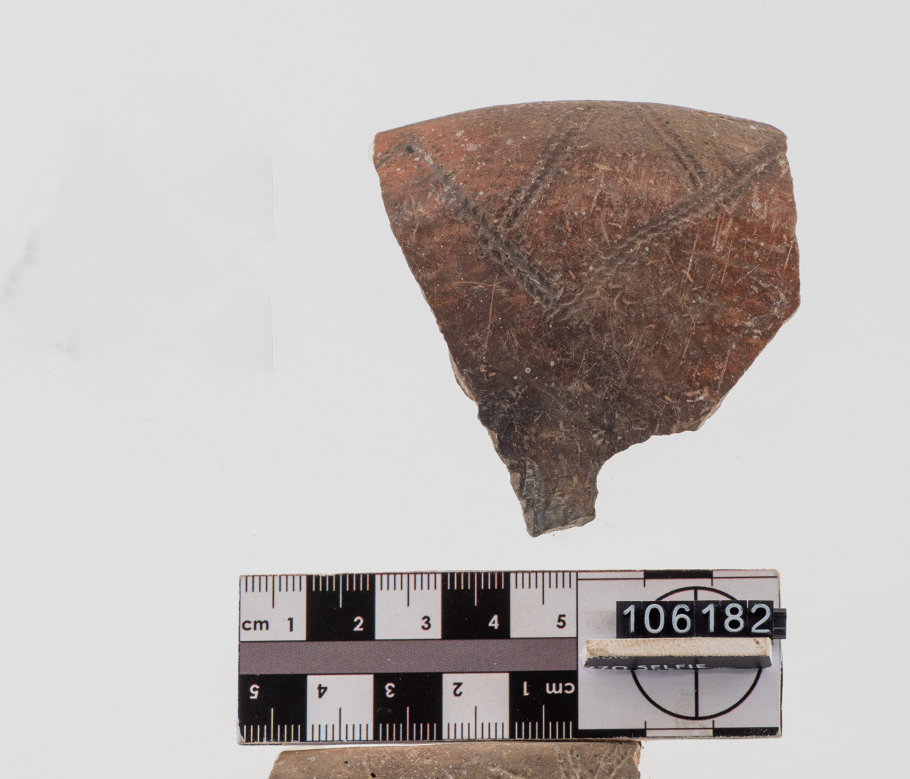 ciotola/ parete (PERIODIZZAZIONI/ PREISTORIA/ Neolitico)