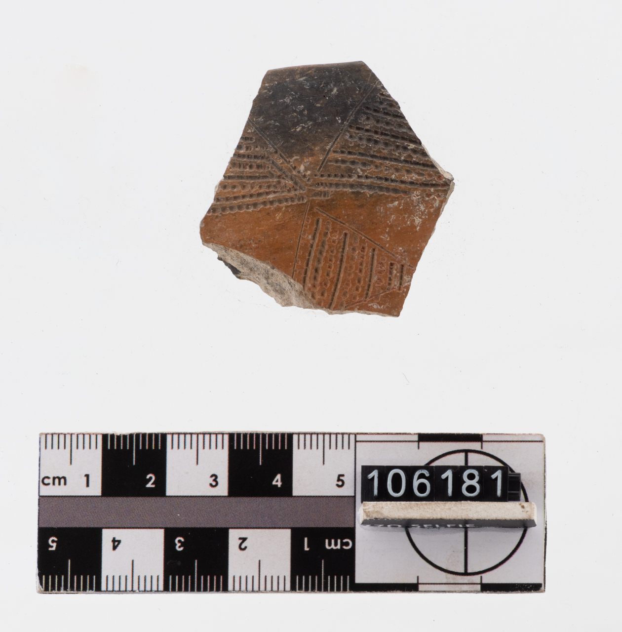 ciotola/ parete (PERIODIZZAZIONI/ PREISTORIA/ Neolitico)