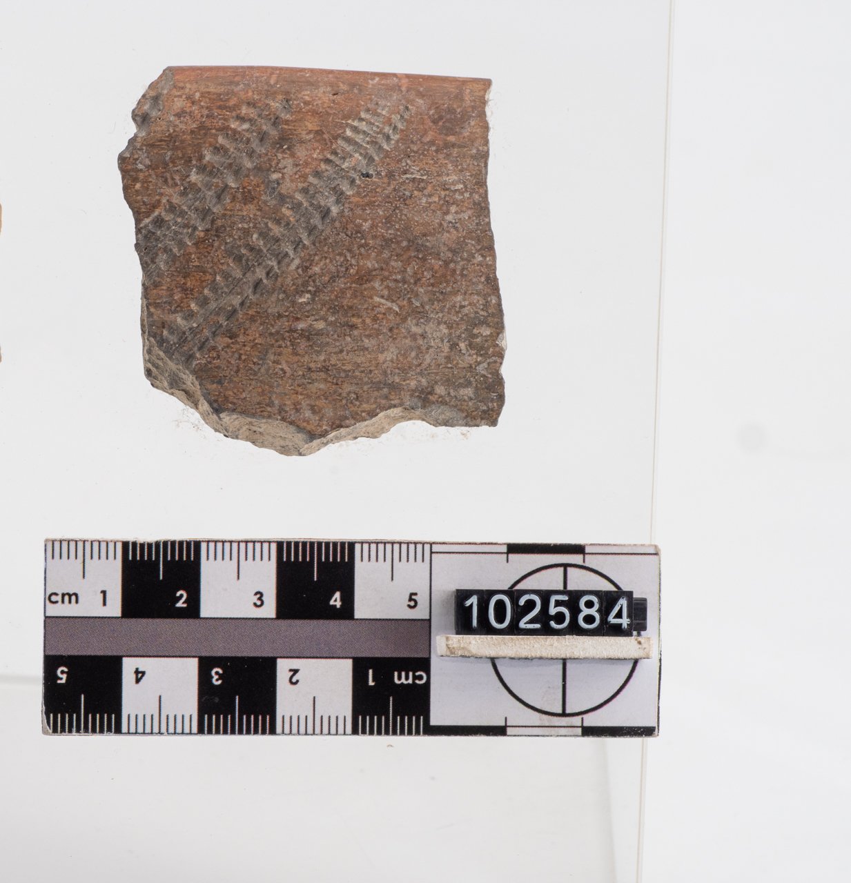 ciotola (PERIODIZZAZIONI/ PREISTORIA/ Neolitico)