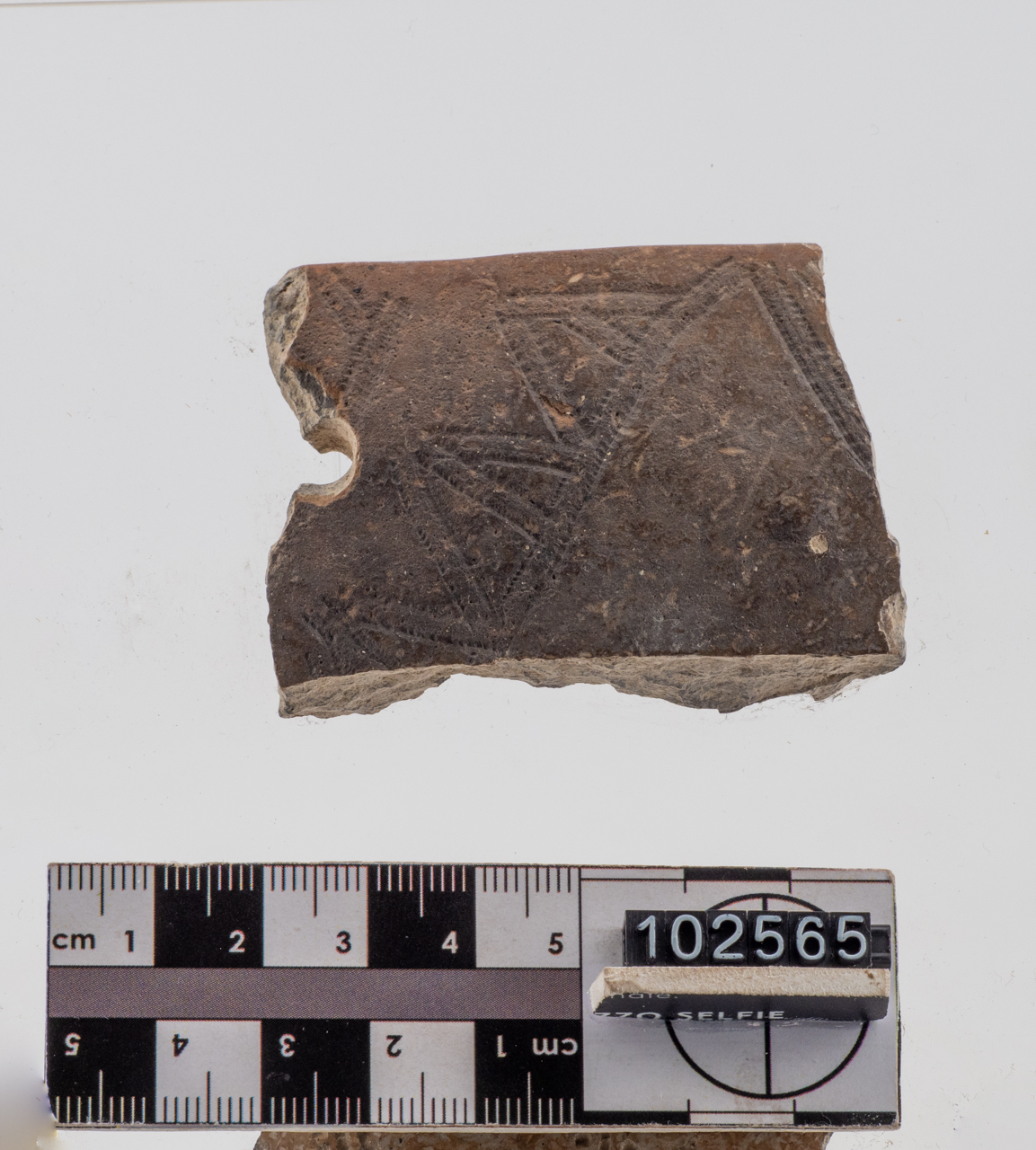 ciotola (PERIODIZZAZIONI/ PREISTORIA/ Neolitico)