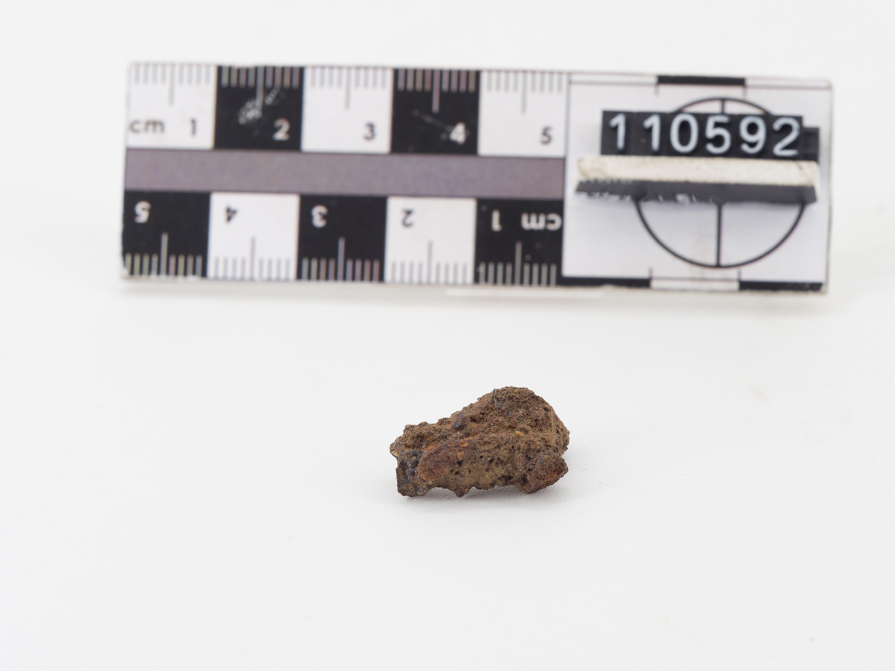 fibula/ ad arco semplice (SECOLI/ V a.C)