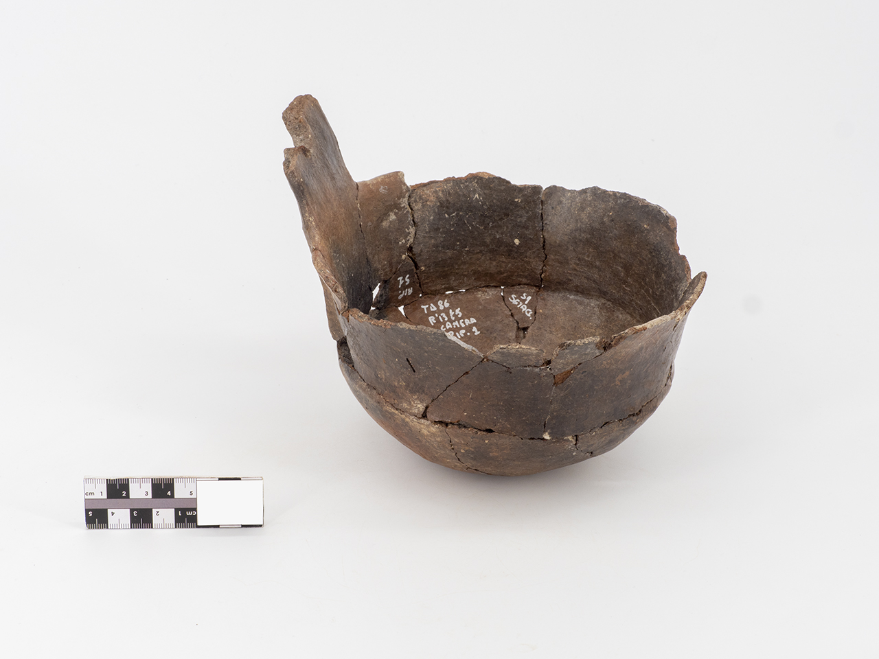 tazza/ attingitoio (PERIODIZZAZIONI/ PROTOSTORIA/ Età del Bronzo)