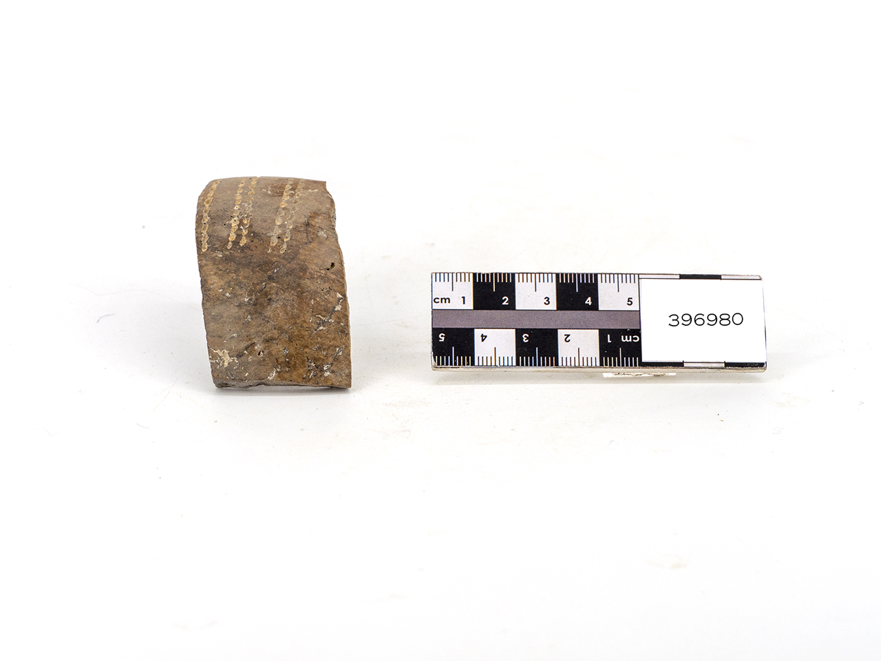 ciotola/ orlo (fine PERIODIZZAZIONI/ PREISTORIA/ Neolitico)