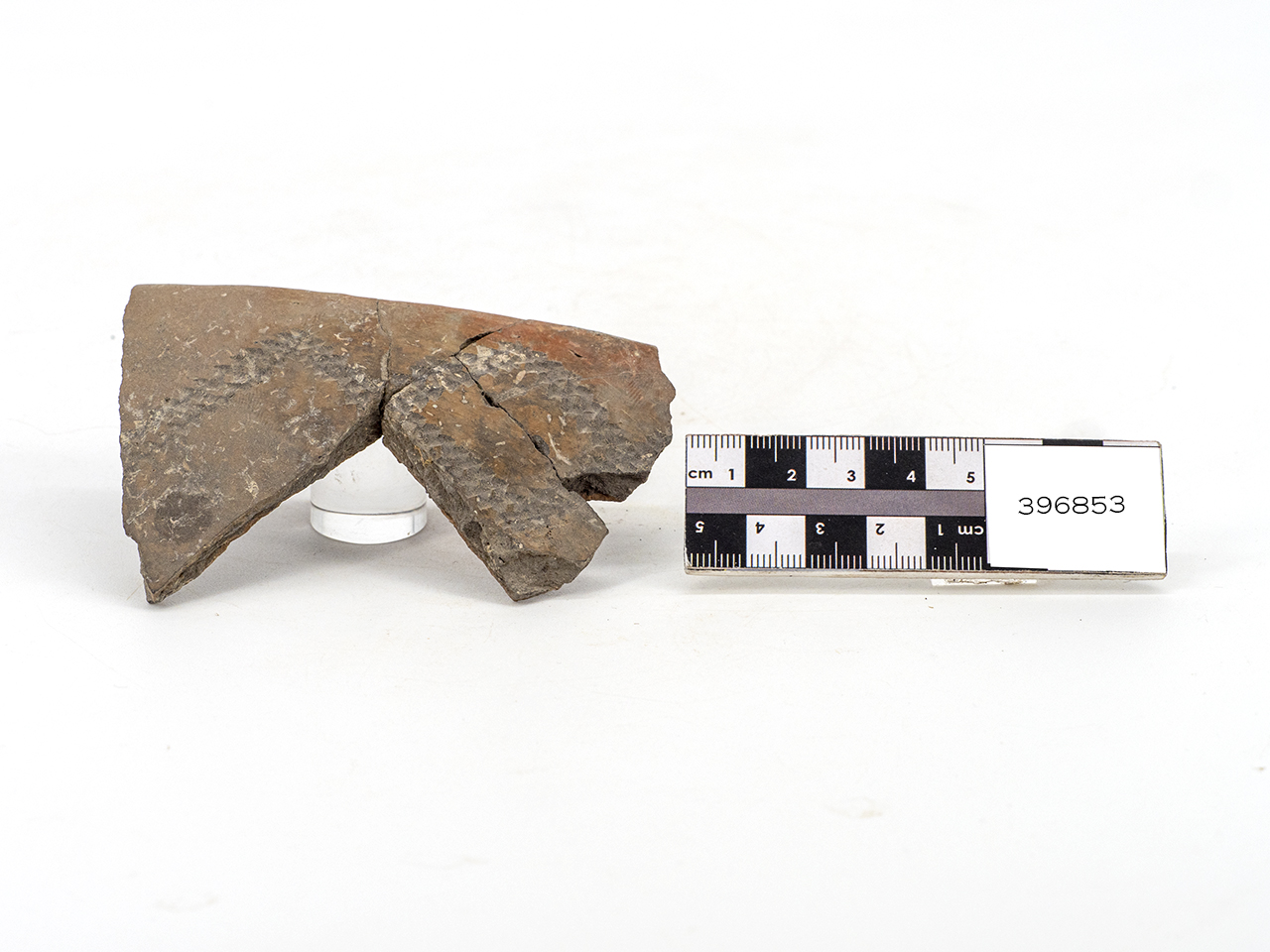 ciotola/ parete (fine PERIODIZZAZIONI/ PREISTORIA/ Neolitico)