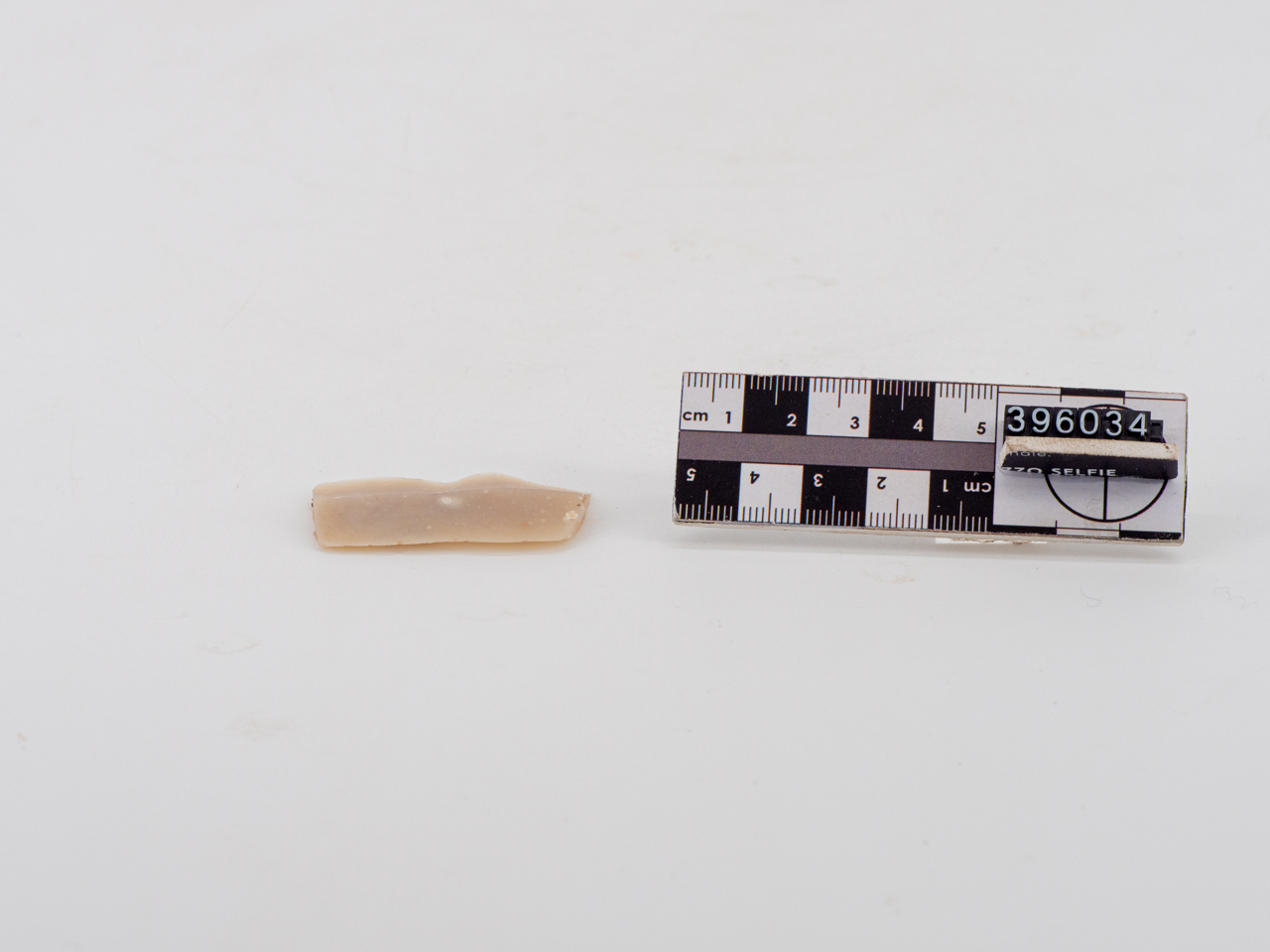 lama (PERIODIZZAZIONI/ PREISTORIA/ Neolitico)