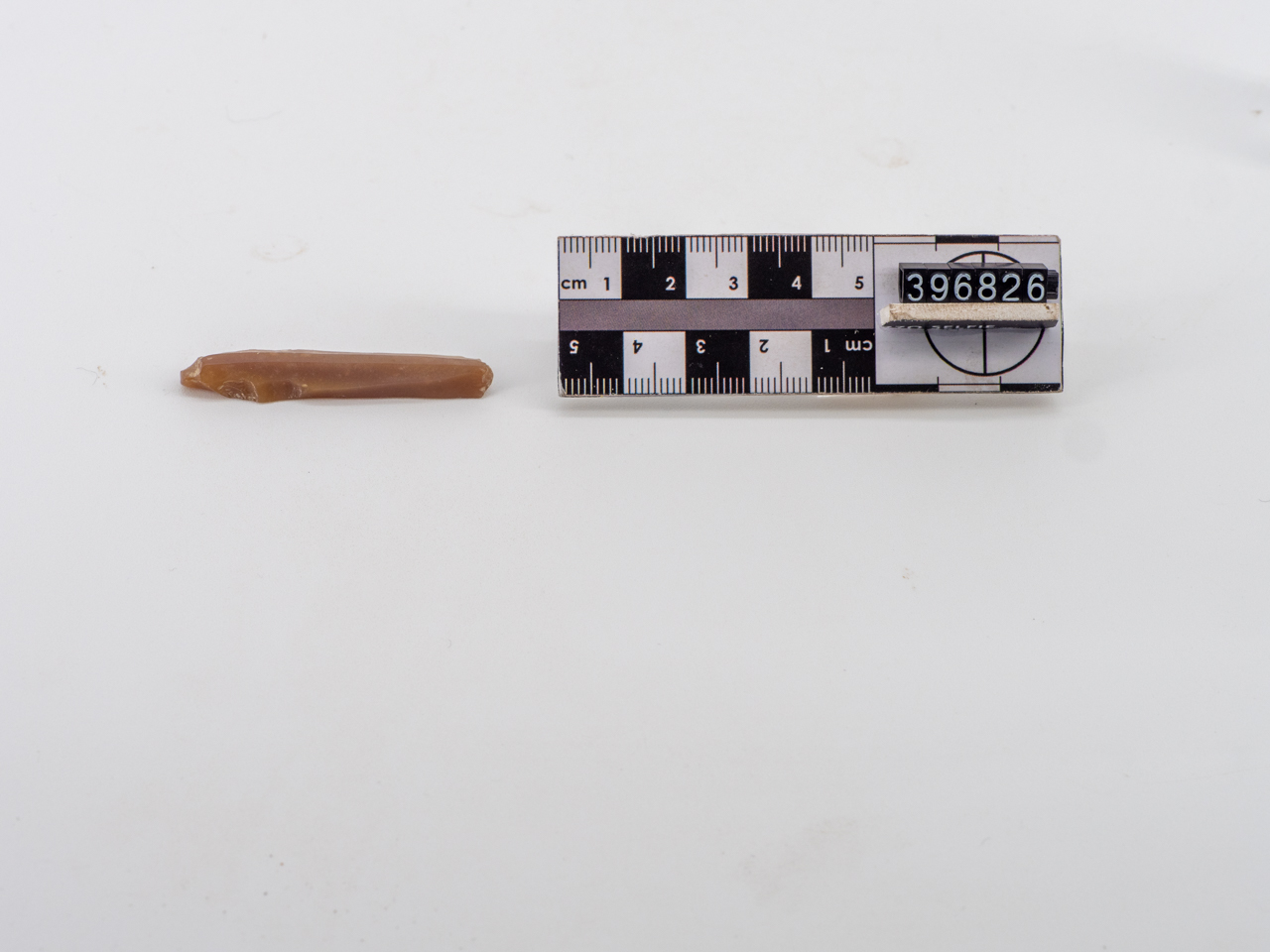 lama (fine PERIODIZZAZIONI/ PREISTORIA/ Neolitico)