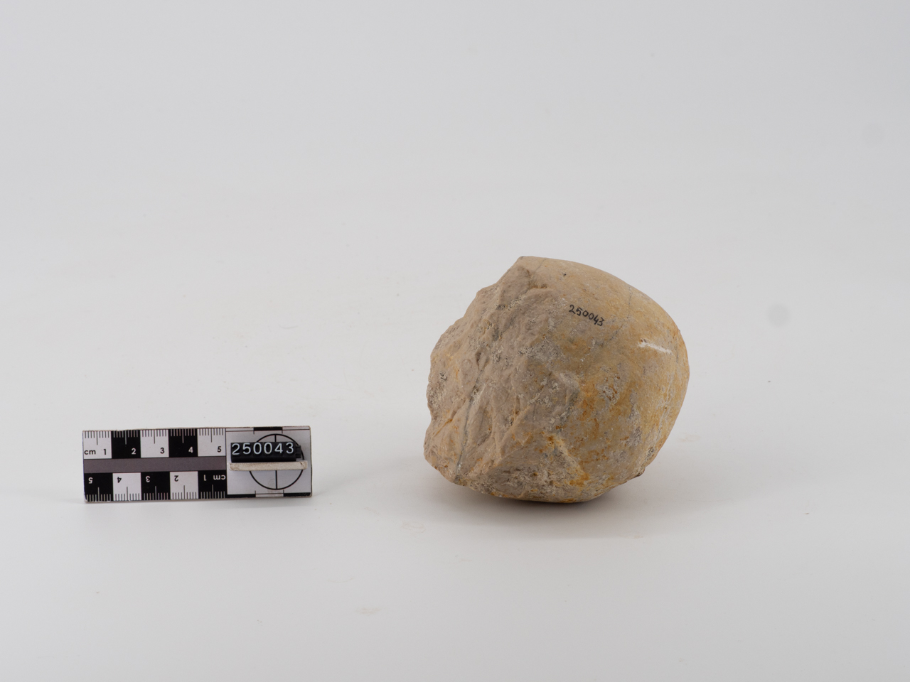 chopper/ distale (PERIODIZZAZIONI/ PREISTORIA/ Paleolitico/ Paleolitico inferiore)