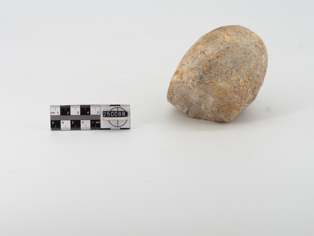 chopper/ distale (PERIODIZZAZIONI/ PREISTORIA/ Paleolitico/ Paleolitico inferiore)