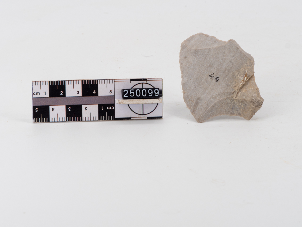 punta/ di freccia (PERIODIZZAZIONI/ PREISTORIA/ Paleolitico/ Paleolitico inferiore)