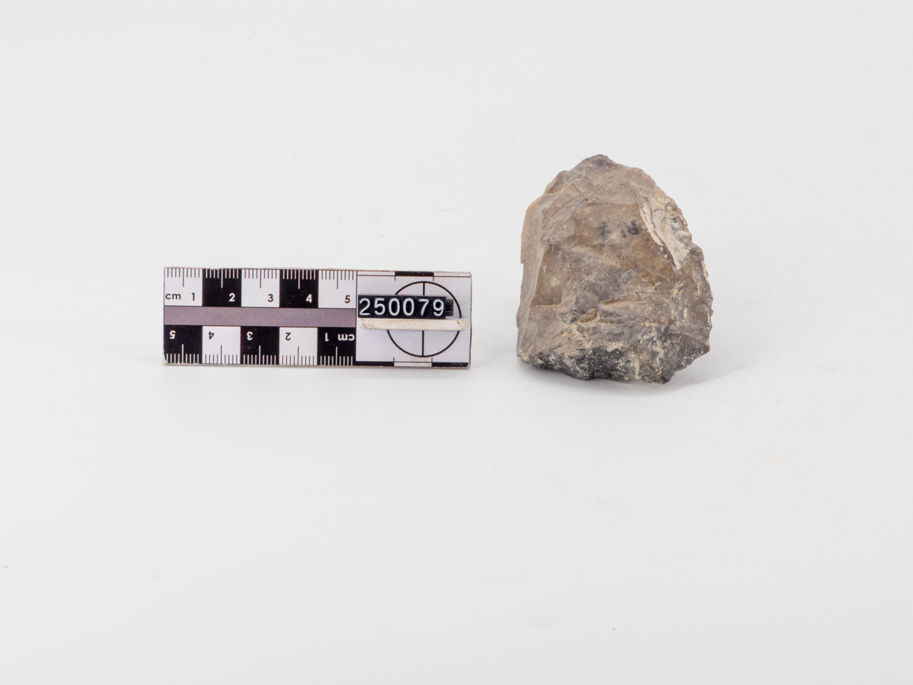 raschiatoio/ marginale (PERIODIZZAZIONI/ PREISTORIA/ Paleolitico/ Paleolitico inferiore)