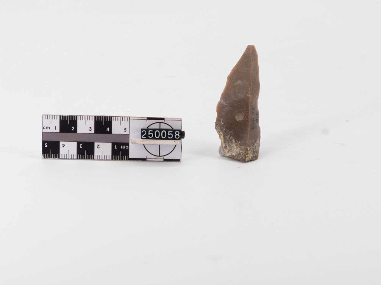 lama raschiatoio/ carenoide (PERIODIZZAZIONI/ PREISTORIA/ Paleolitico/ Paleolitico inferiore)