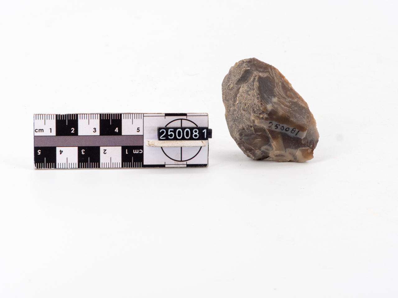 raschiatoio (PERIODIZZAZIONI/ PREISTORIA/ Paleolitico/ Paleolitico inferiore)