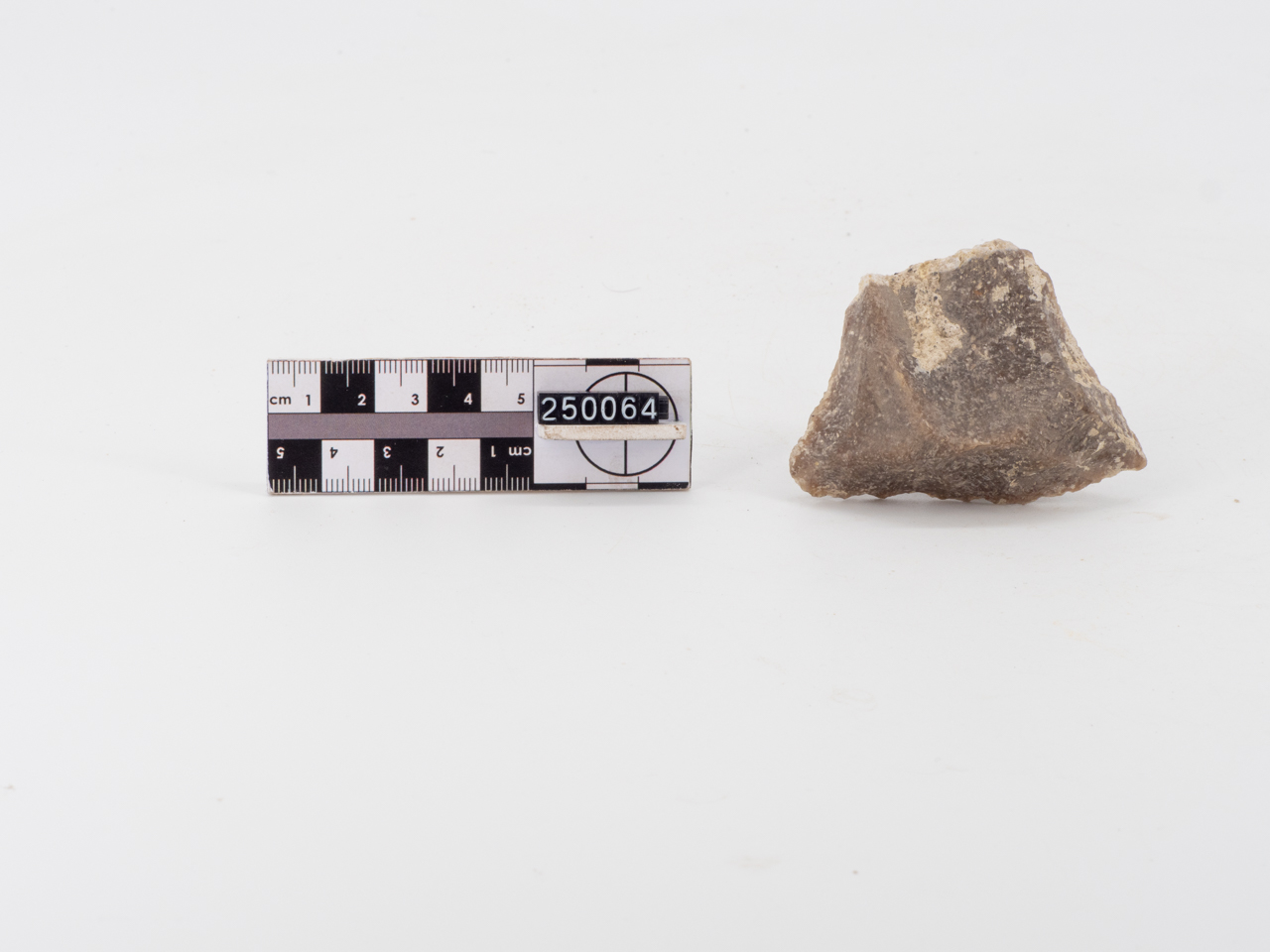 raschiatoio/ marginale (PERIODIZZAZIONI/ PREISTORIA/ Paleolitico/ Paleolitico inferiore)