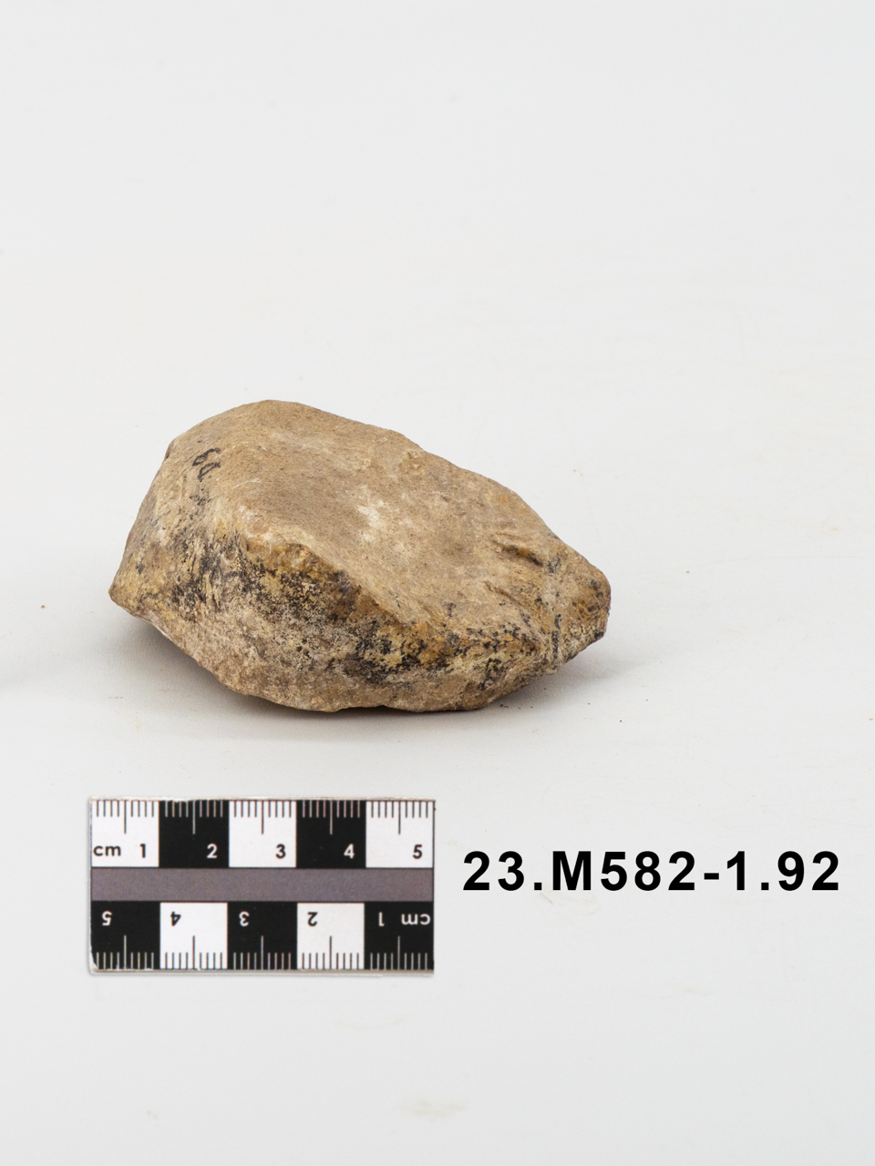 ciottolo (PERIODIZZAZIONI/ PREISTORIA/ Paleolitico/ Paleolitico inferiore)