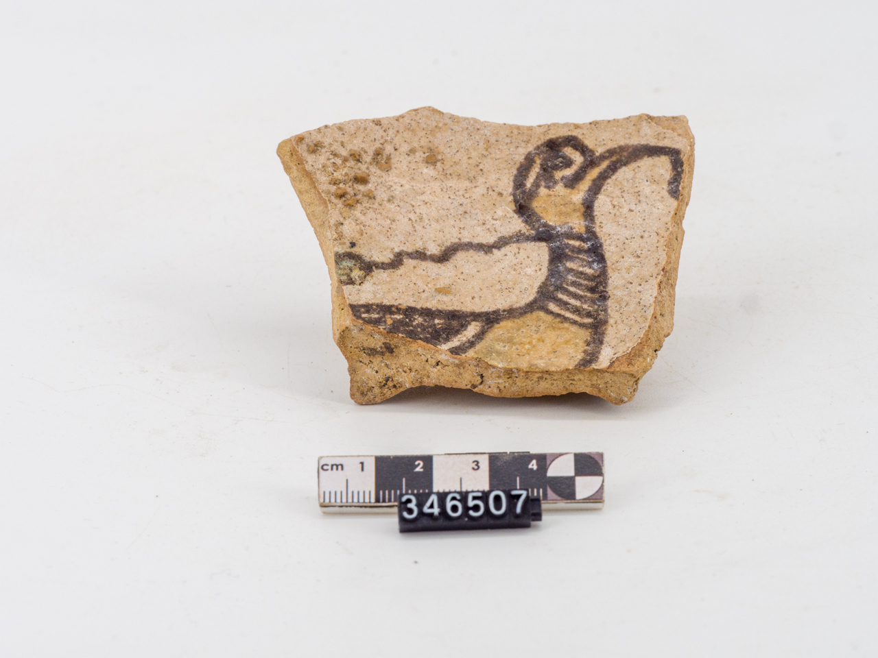 ciotola/ fondo, emisferica (metà SECOLI/ XIII)