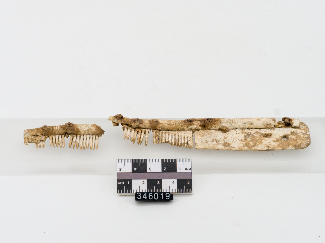 pettine (ca SECOLI/ ARCHI DI SECOLI/ VI-VII)