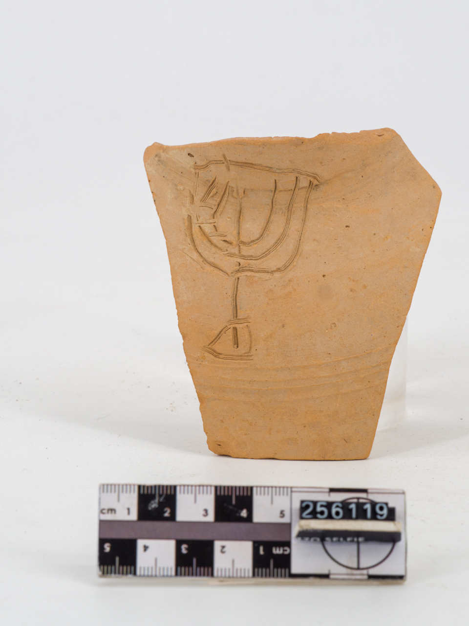 anfora/ parete (ca SECOLI/ ARCHI DI SECOLI/ VI-VII)