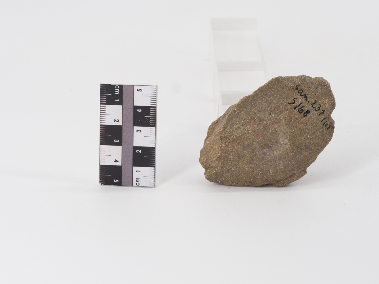 scheggia (ca PERIODIZZAZIONI/ PREISTORIA/ Paleolitico)