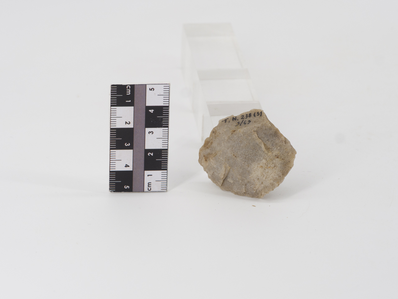 scheggia (ca PERIODIZZAZIONI/ PREISTORIA/ Paleolitico)