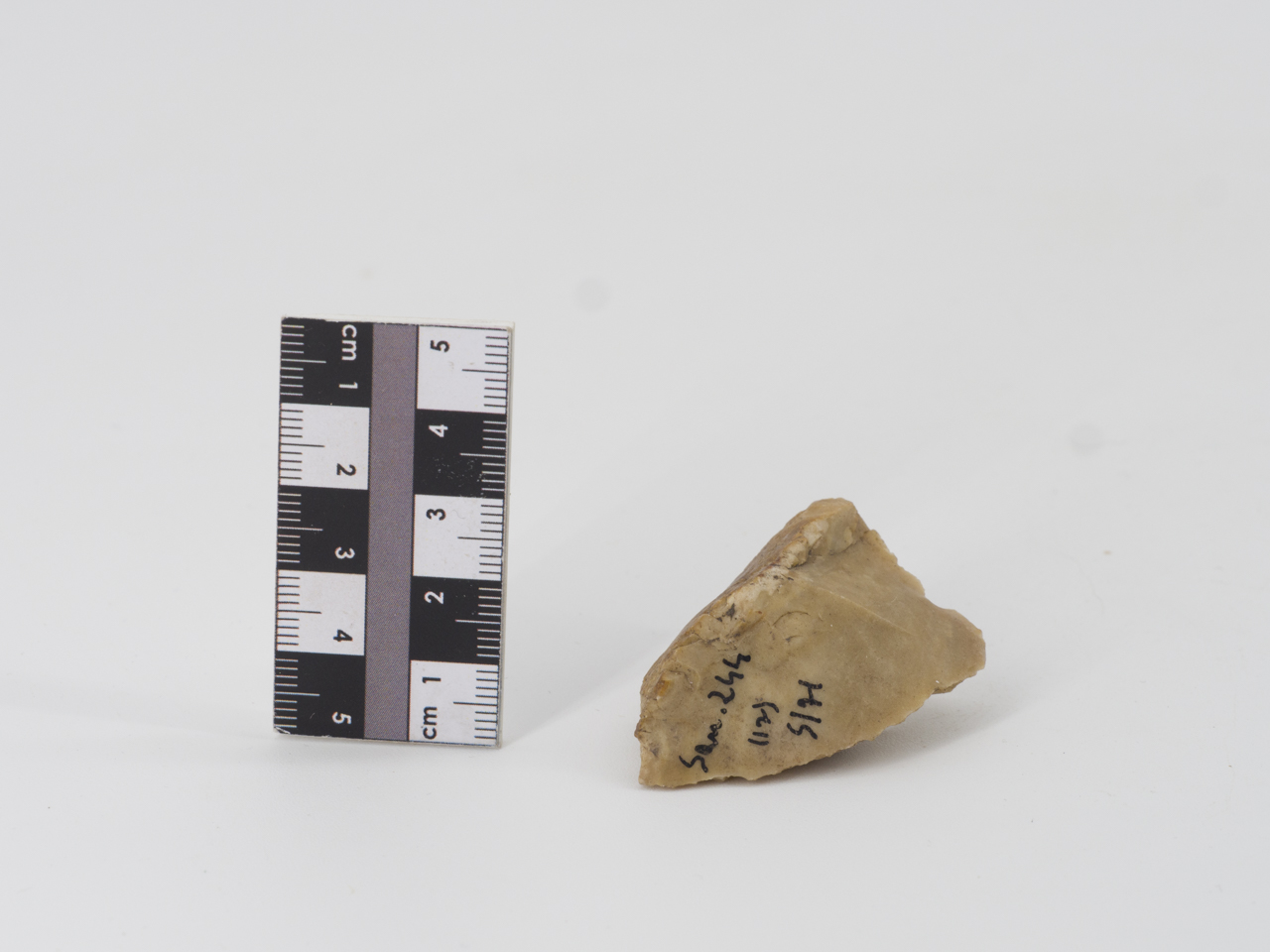 scheggia (ca PERIODIZZAZIONI/ PREISTORIA/ Paleolitico)