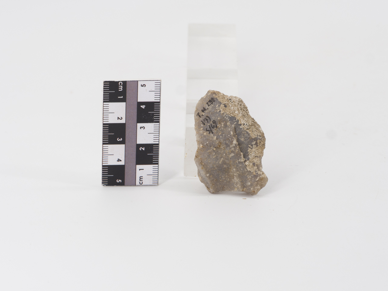 scheggia (ca PERIODIZZAZIONI/ PREISTORIA/ Paleolitico)