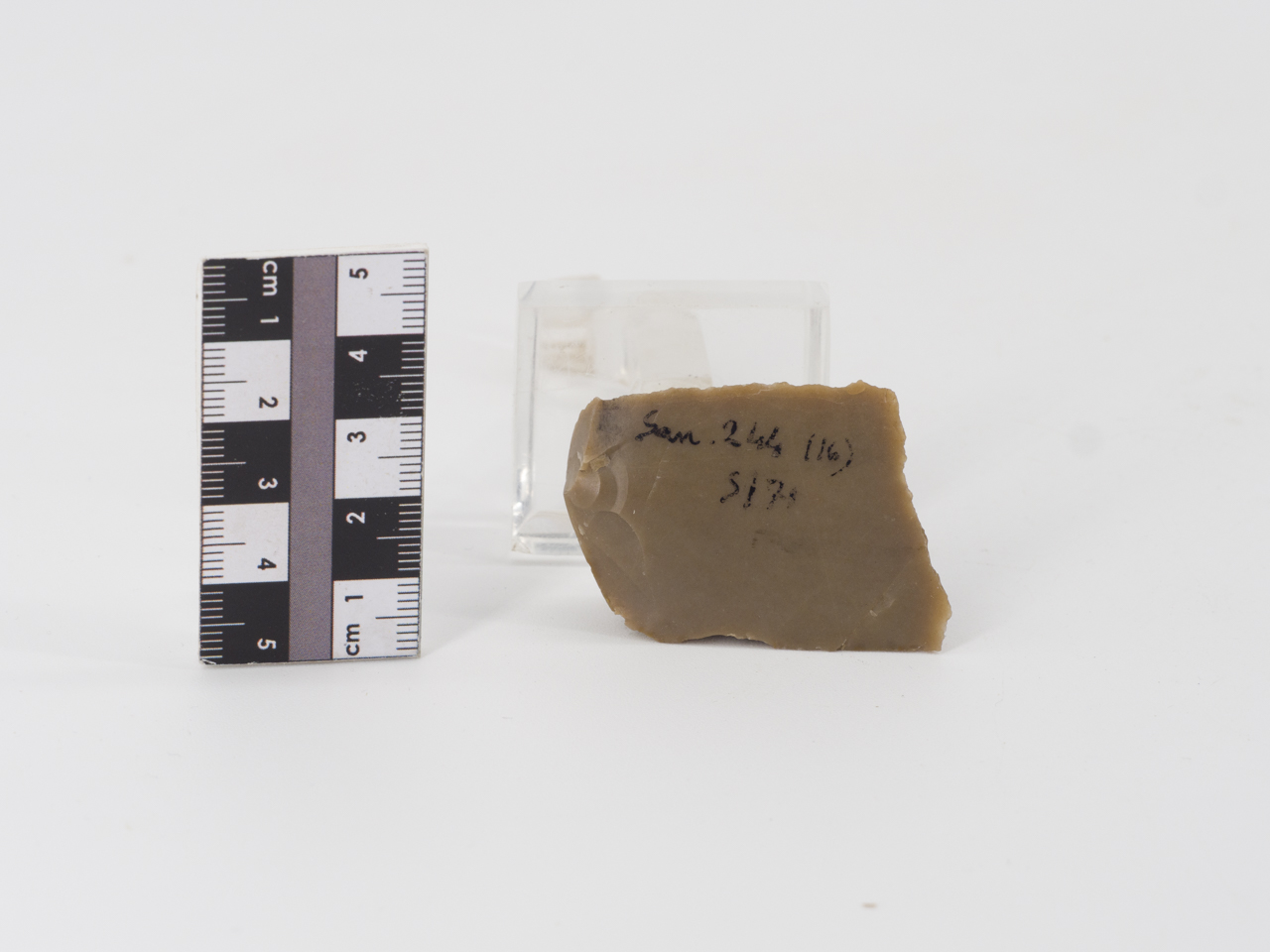 scheggia (ca PERIODIZZAZIONI/ PREISTORIA/ Paleolitico)