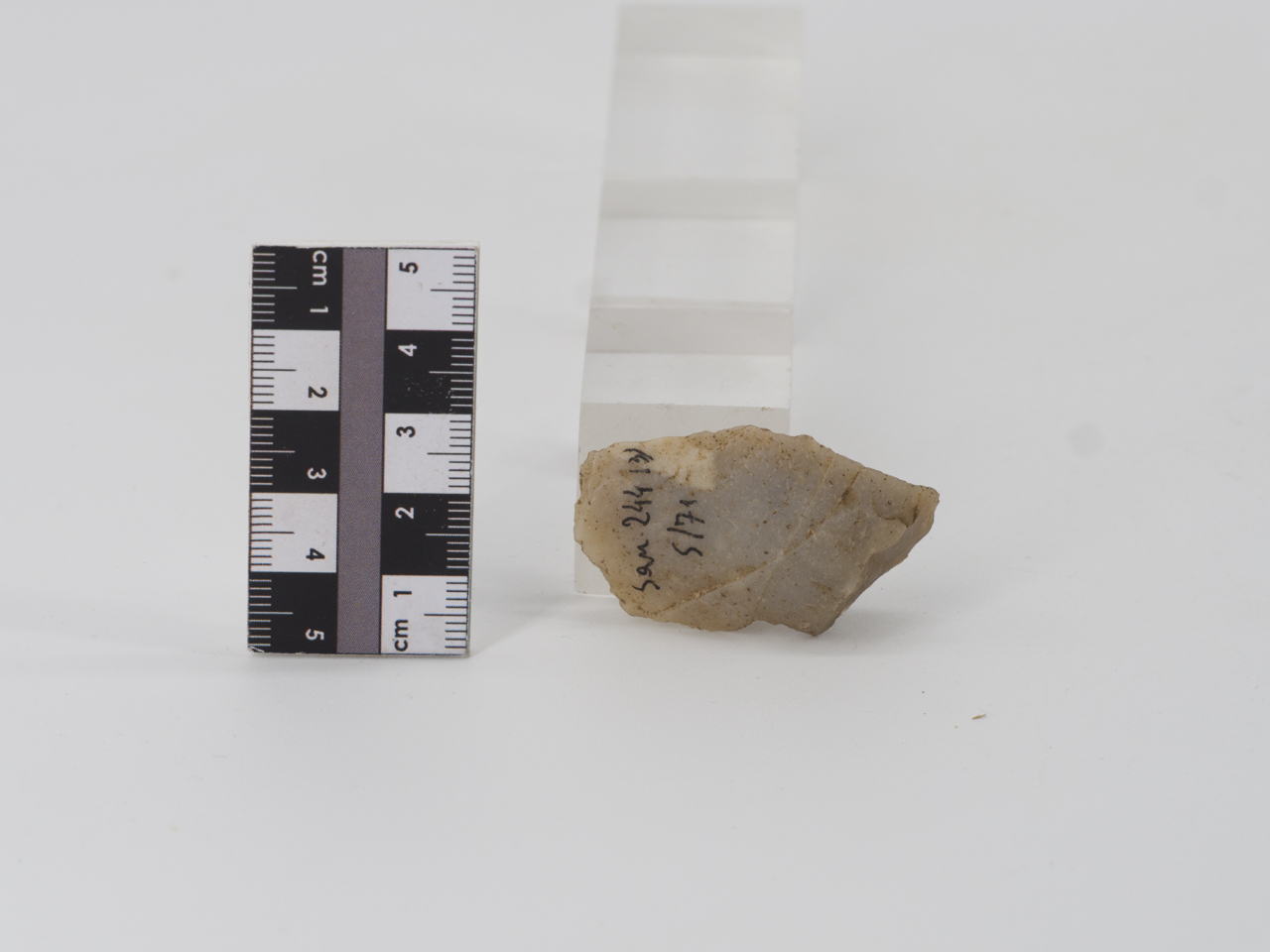 scheggia (ca PERIODIZZAZIONI/ PREISTORIA/ Paleolitico)