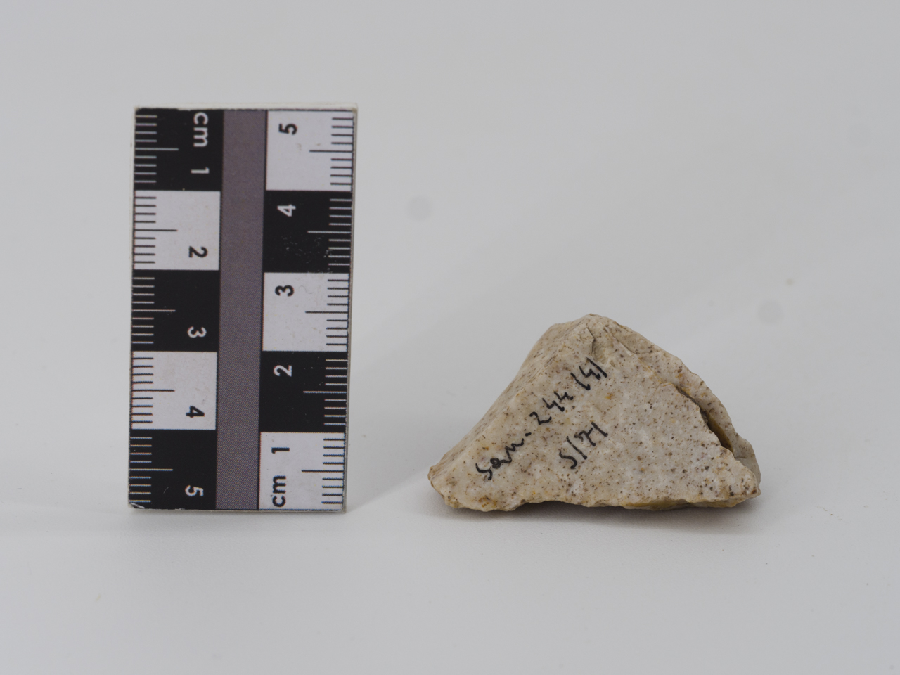 scheggia (ca PERIODIZZAZIONI/ PREISTORIA/ Paleolitico)