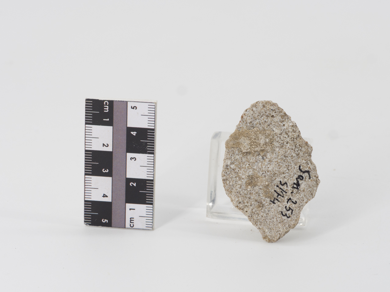 scheggia (ca PERIODIZZAZIONI/ PREISTORIA/ Paleolitico)