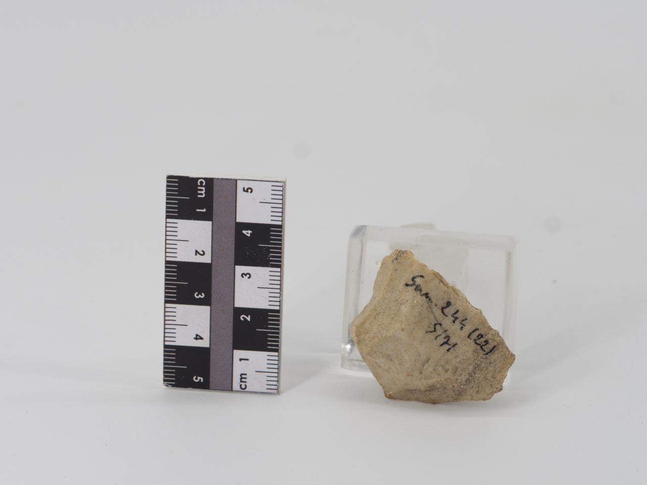 scheggia (ca PERIODIZZAZIONI/ PREISTORIA/ Paleolitico)