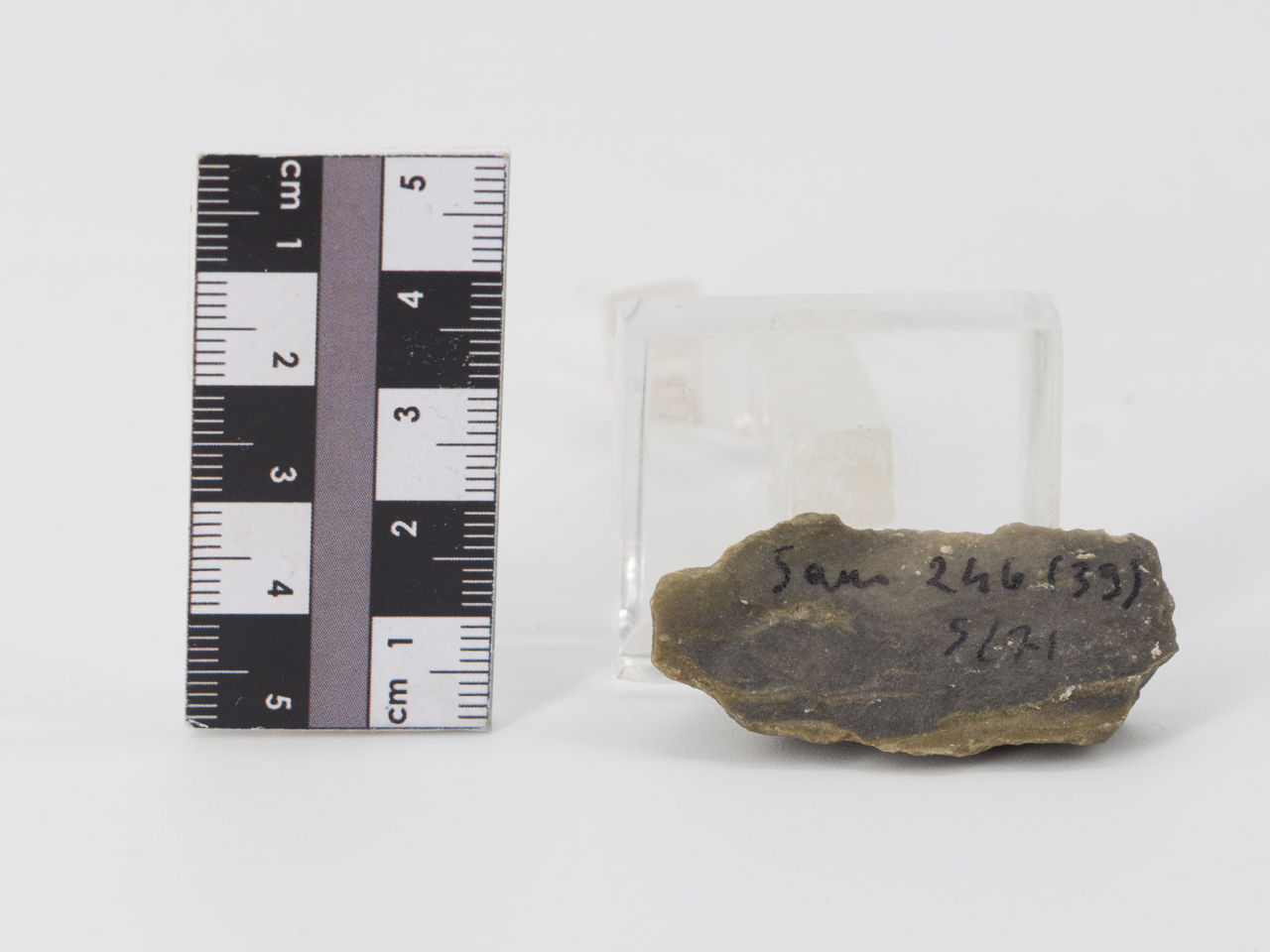 scheggia (ca PERIODIZZAZIONI/ PREISTORIA/ Paleolitico)