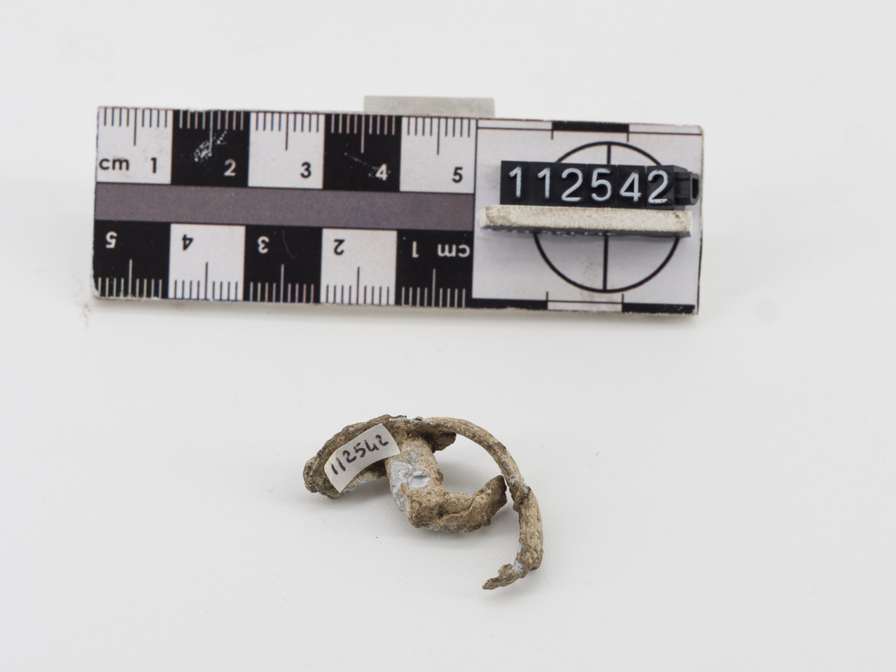 fibula (ca SECOLI/ ARCHI DI SECOLI/ V a.C.-III a.C)