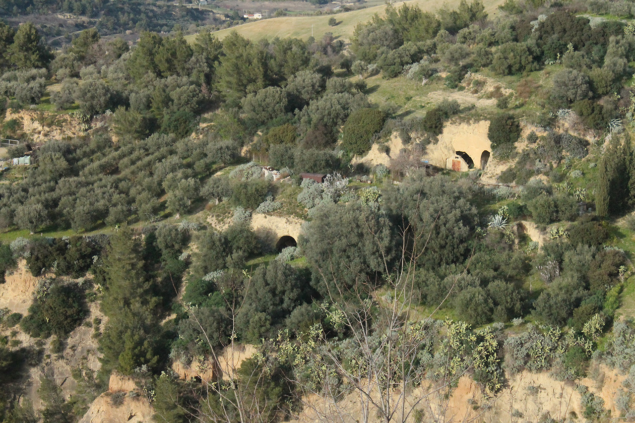 cantina, Cantine grotta di Tursi (non determinabile)