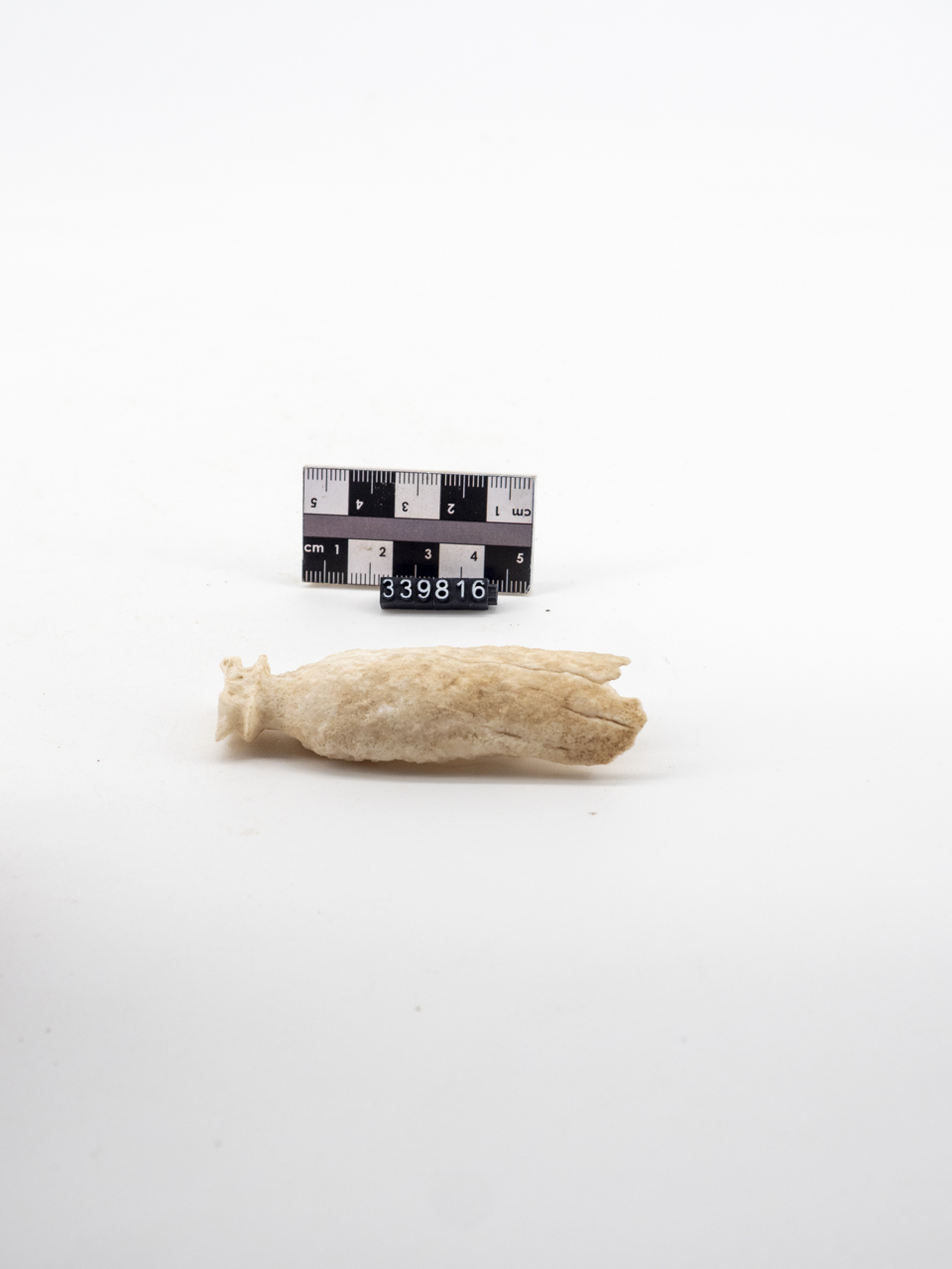 unguentario (ca SECOLI/ III a.C)