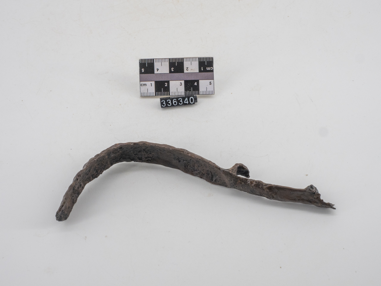 strigile (inizio SECOLI/ III a.C)