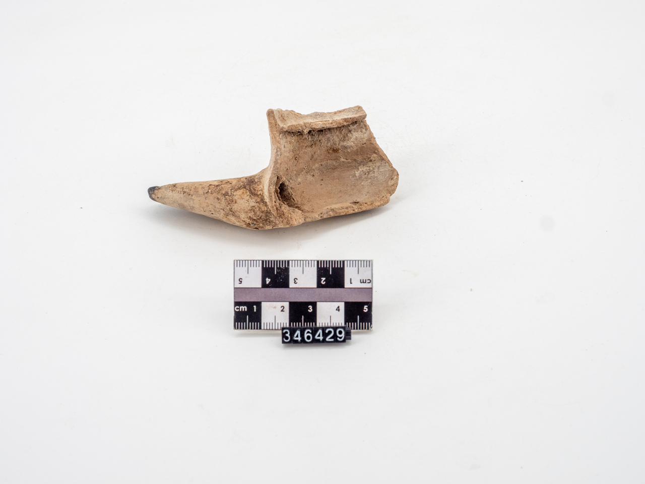 lucerna (ca SECOLI/ ARCHI DI SECOLI/ XIII-XIV)