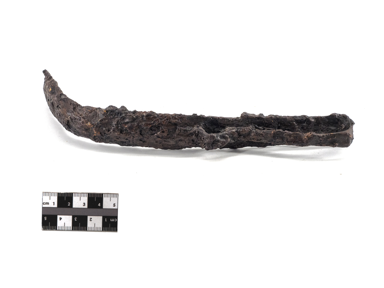 strigile (inizio SECOLI/ III a.C)