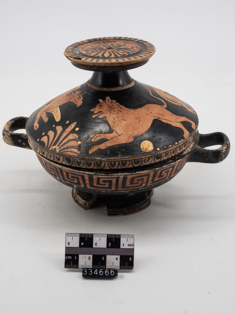 lekanis, Tipo 1.1 di Forentum II (prima metà SECOLI/ IV a.C)