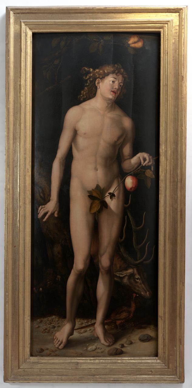 Adamo (dipinto) di Baldung Grien Hans (sec. XVI) 