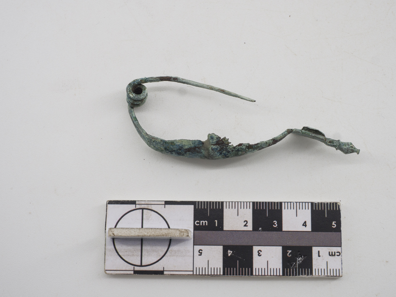 fibula (SECOLI/ IV a.C./ I d.C)