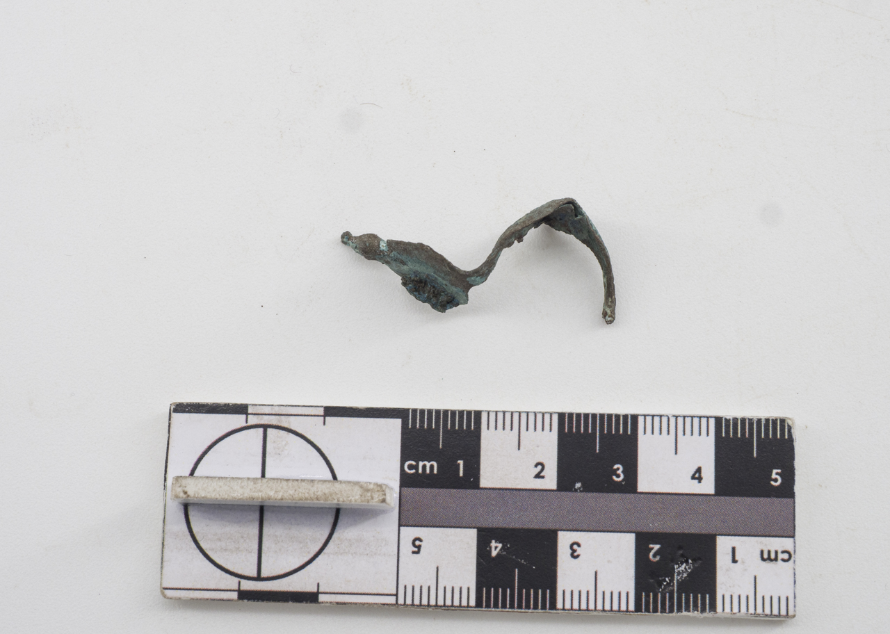 fibula (SECOLI/ IV a.C./ I d.C)