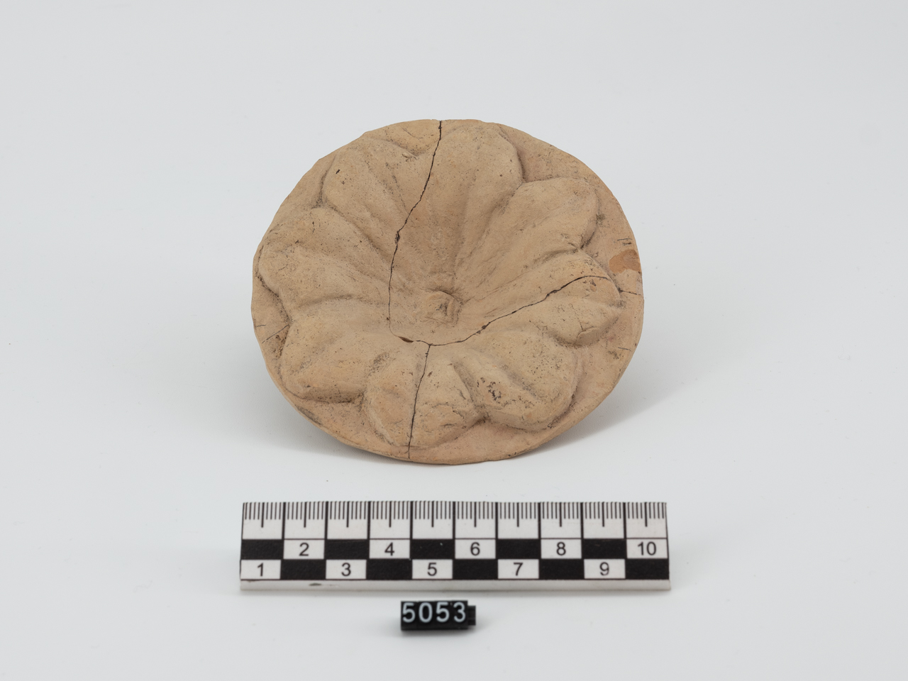 ex voto/ vegetale (IV a.C.-III a.C)