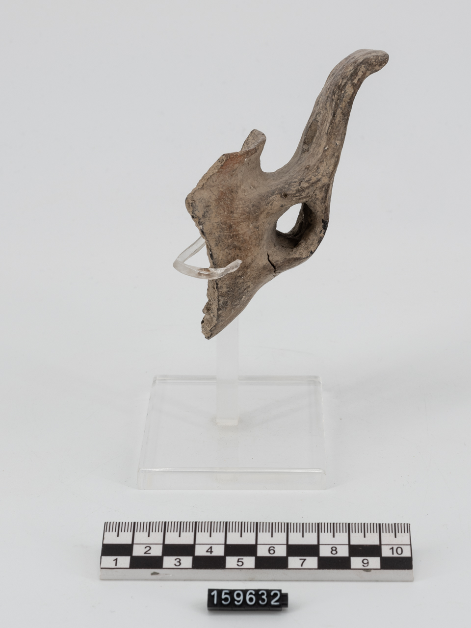 ciotola/ carenata (Età del Bronzo)