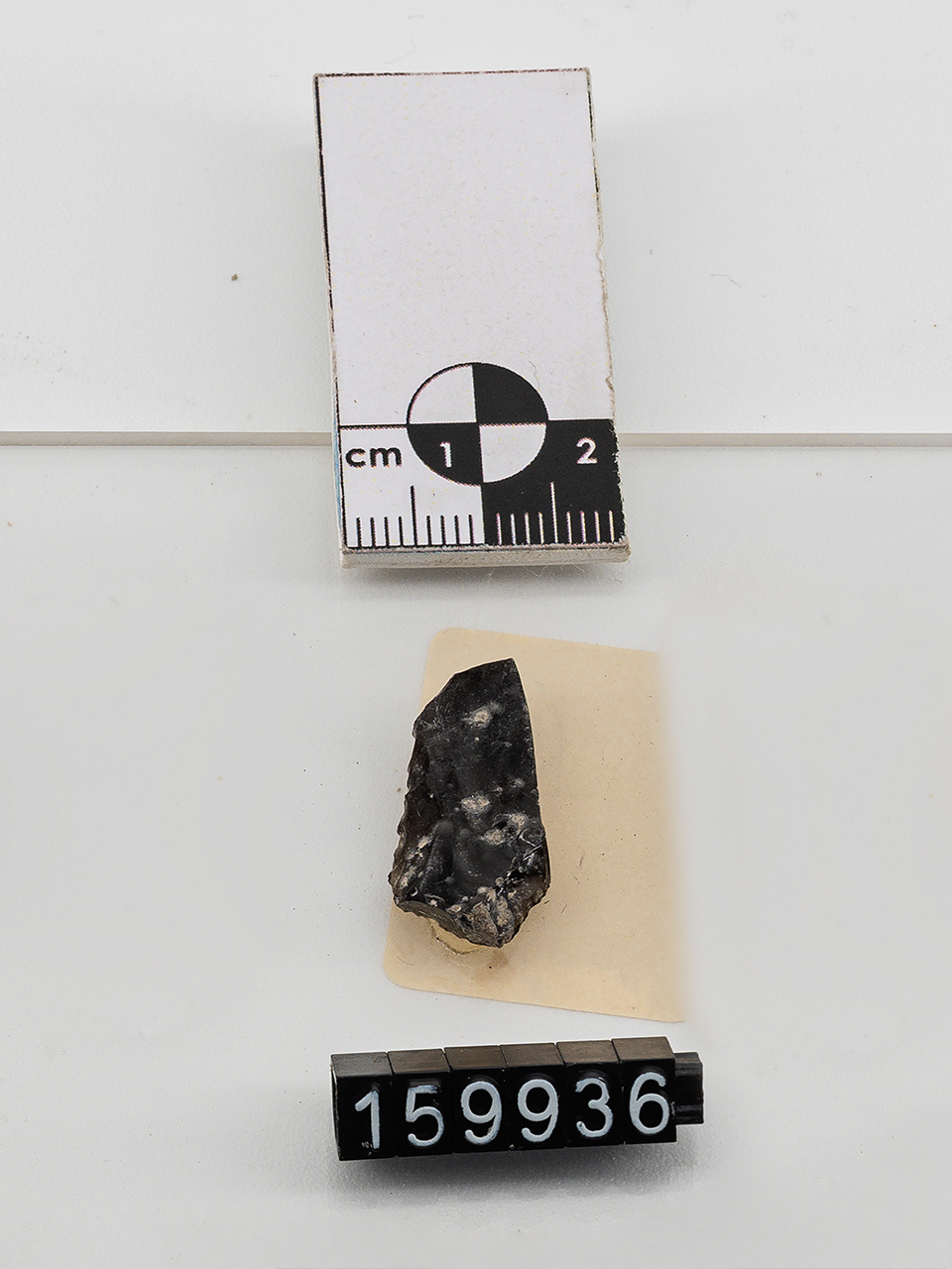 scheggia (Neolitico)