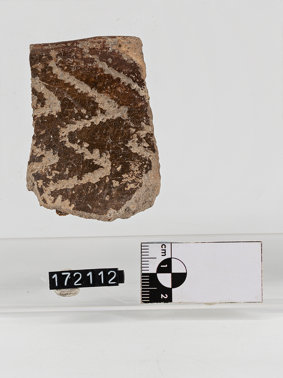 frammento (Neolitico Antico)